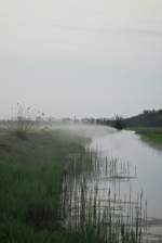 Fr�h an der Trebel