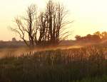 Sonnenaufgang in den Trebelwiesen um Demmin
