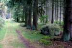 Waldweg mit einem Findling im Herbst aufgenommen in Meck.-Pom.